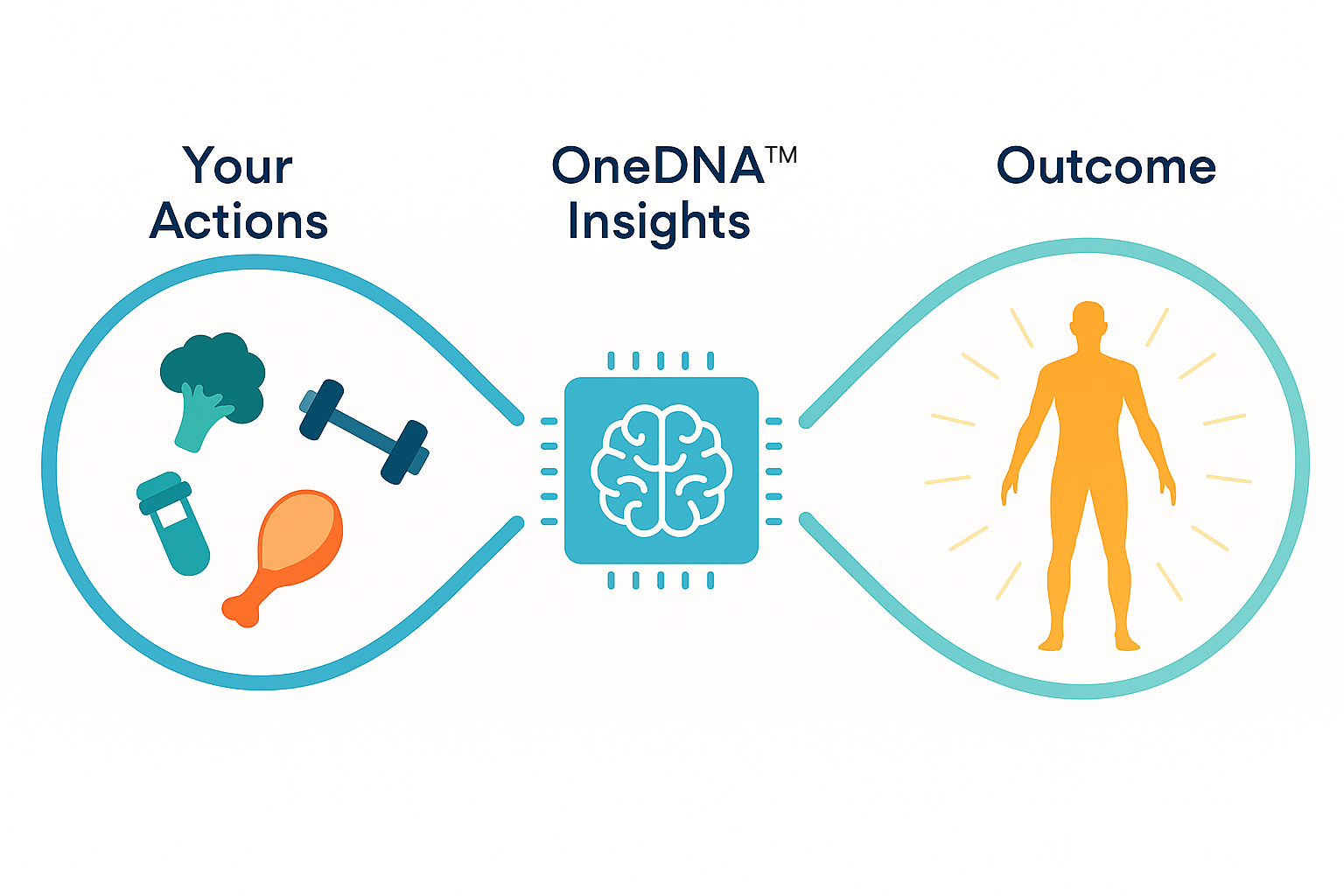 Health feedback loop illustration